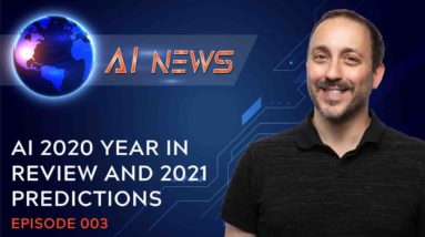 AI 2020 Year in Review and 2021 Predictions | AI News