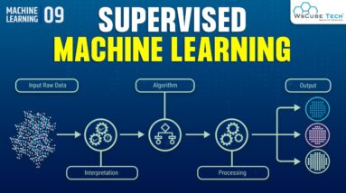 What is Supervised Machine Learning? Types, Advantages & Disadvantages of Supervised Learning
